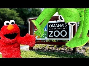 Elmo Helps Find Kermit The Frog At The Zoo!