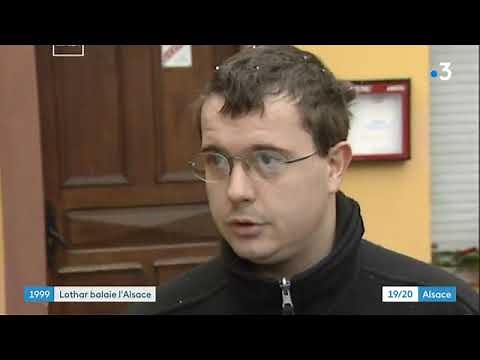 Retour sur la tempête Lothar en Alsace, le 26 décembre 1999