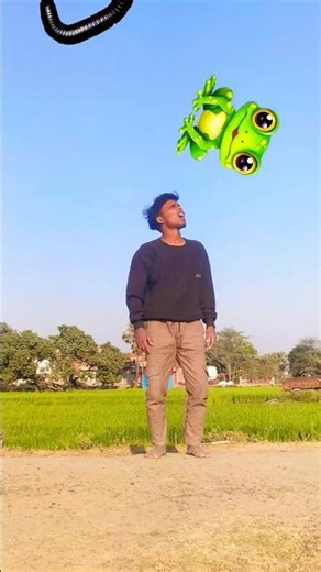 July_26,_2023_Fish,_Insect___frog_eating_vs_dancing_alien_making_-_Funny_vfx_magic(720p)