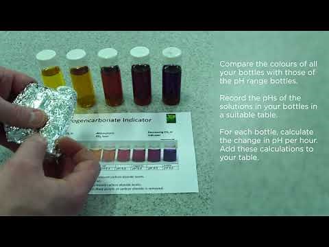 Edexcel Core Practical 9-1 GCSE B6.5 Effect of Light Intensity on Photosynthesis