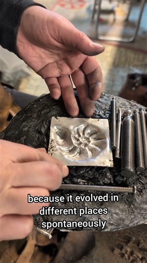 Making a nautilus shell in sterling silver. #howitsmade #nautilus