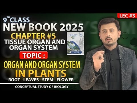 Organ and organ system in plants | Ch#5 | Biology class 9th new syllabus