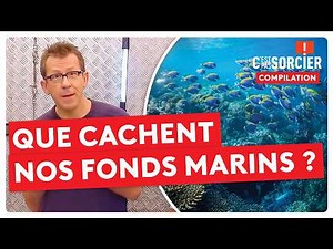 Que cachent vraiment les fonds marins français ? - Compilation