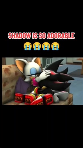Understanding the Friendship Between Rouge and Shadow