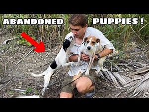 ABANDONED PUPPIES FOUND DUMPED ON MY FARM ! WHO DID THIS ?!