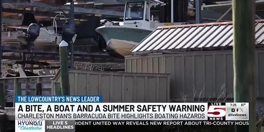 VIDEO: Charleston man’s barracuda bite highlights boating hazards
