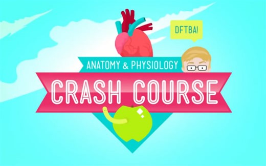 【合集】10分钟速成课：解剖与生理【预告+全47集+花絮】【720P高清双语】