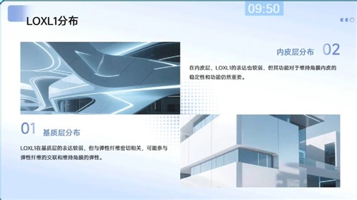 眼科专家周胜教授讲解《赖氨酰氧化酶(LOX)在圆锥角膜中的作用分布及相关药物治疗新进展》