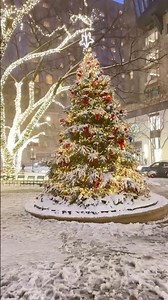 Chicago☃️🤍❄️this is how the real snowstorm drive feels in the windy City in Christmas time❤️ ☃️🌲