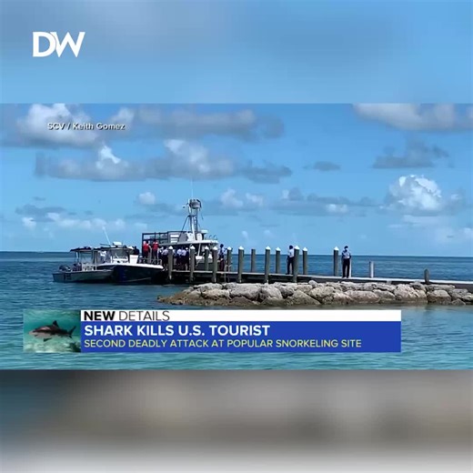 567K views · 412 reactions | VACATION TRAGEDY: Woman Dies In Shark Attack While Snorkeling In Bahamas | Daily Wire | Facebook