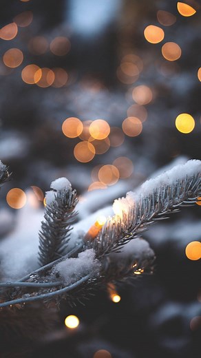 ✨ Happy Monday from Spring Meadow Farms! ✨ We may be closed today and tomorrow, but the countdown is officially ON… and the magic is getting closer by the minute! 🎄✨ Our Christmas Market officially begins next Friday, November 28—Black Friday! Get ready for fresh Christmas trees, roping, wreaths, and all the beautiful greens that make the season feel merry & bright. 🌲💚 Plus… the glow-up is coming! 🌟 Our Holiday Light Trail opens Nov 29th and Train Garden opens November 28th. ✨ Thursdays & Fr