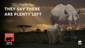 Extinction is Calling-newFINAL (1)