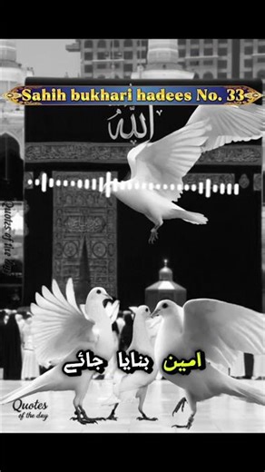 sahih bukhari hadees No. 33#shorts