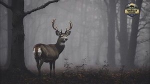 Mindful Resonance: Native American Flute Music for Studying