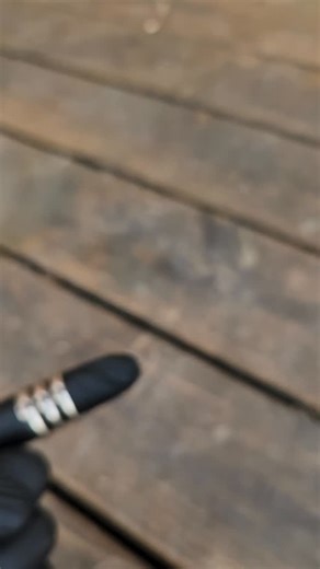 Benjamin Harju on Instagram: "I just finished up these #handforged Shibuichi alloy rings. Something about the colors and form of the alloy led me to reverse set color change sapphires 😉 Sizes 10, 10 and 12. I should have them on my site sometime this weekend, but any interested parties can reach out to me before then! #handmadejewelry #handmadeart #handmadering #ringsofig"