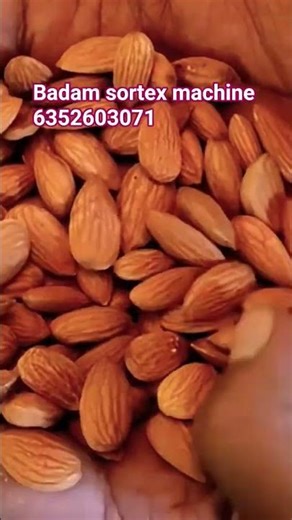 badam sortex machine installation almond sortex machine #rajasthan #gujarat #bikaner #haryana