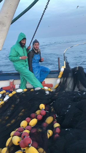 حييلي البحرية: مغامرات مع بحارة الجزائر