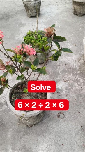 2.4K views · 44 reactions | Math Test Solution for the | Learn And Solve | Facebook