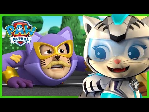 Pups and Cats Save a new Super Hero: HumCatDingerMan! - PAW Patrol Episode - Cartoons for Kids