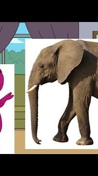 Barney brings home a elephant and gets grounded