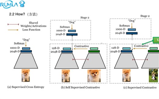 文献阅读-有监督的对比学习Supervised Contrastive Learning提高图像分类效果