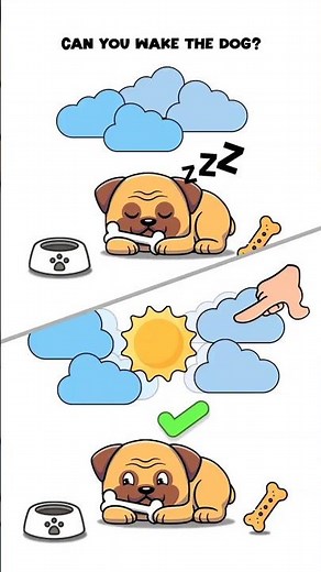 Brain Tease: Tricky Puzzle #tricky New Level