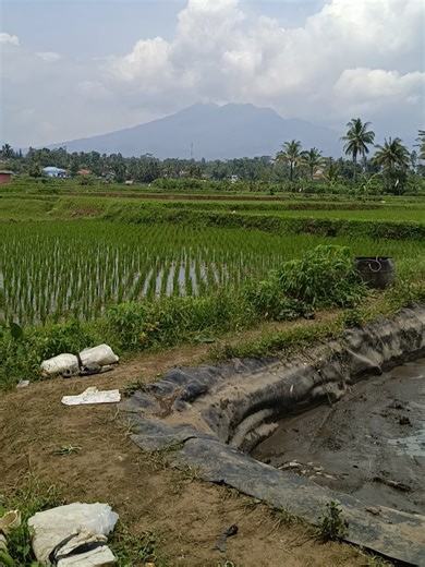 Exploring the Morning View at Galunggung Mountain