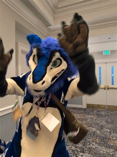 Experiencing Conventions as a Furry: A Unique Perspective