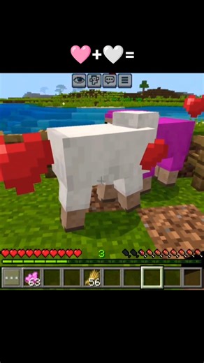 white vs pink Sheep😭😮