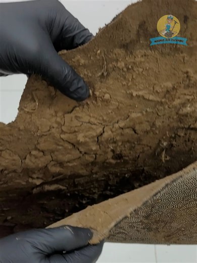 Amazing cleaning satisfying the muddy fluffy carpet #explore #asmr #carpetwash #satisfactory #asmrcleaningvideo