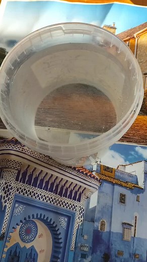 Exploring Clear Plastic Container Aesthetics