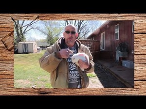 When and How to Wean Baby Rabbits