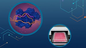 Highly pure, reproducible guide RNA for CRISPR screening