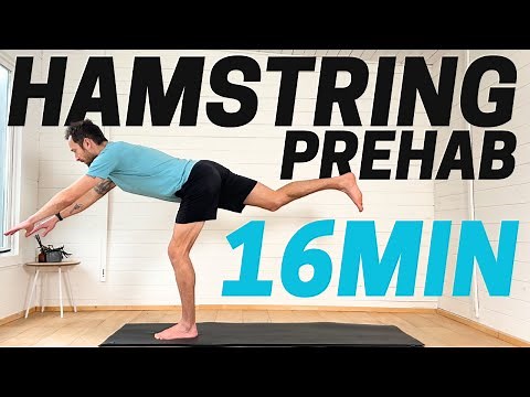 Hamstring Strengthening Exercises Routine