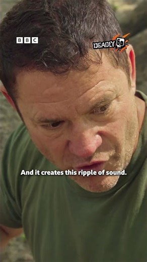 GROSS termite bugs making creepy ASMR noise 🐛🦗 | Deadly 60 | CBBC Epic Facts