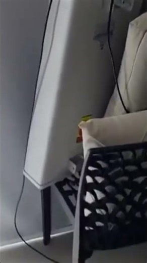 A Polícia Civil de São Paulo prendeu um homem de 26 anos acusado de um crime complicado!