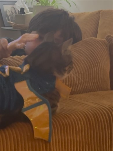 Anthony Green on Reels