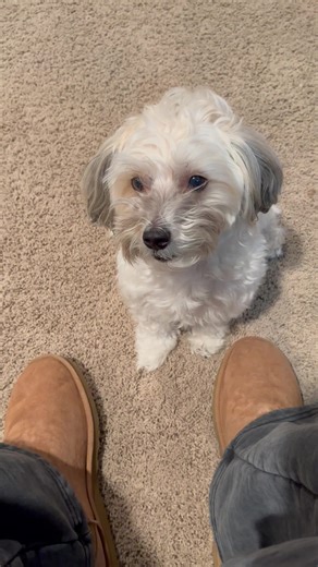 Exploring My Minecraft Room: Tour and Memes