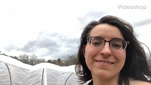 Intercropping small quick crops with larger main crops #gardening101 #foodforest #farm #planttok #veggie #growfood #planting #gardentok #fyp #garden | amethystfoodforest | Facebook