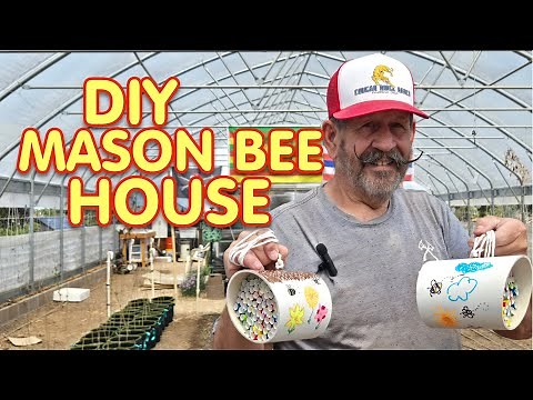 🐝 Save the Bees! DIY Mason Bee House That Works