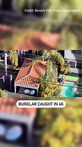 52K views · 461 reactions | SUNKEN SCHEME: Police drone footage shows suspect's cartoonish getaway attempt as he falls off ladder, tumbles into swimming pool. | Fox News | Facebook