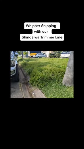 Overgrown Lawn getting a make over #lawntok #mowingthelawn #ferrismowers #ferrisstandon #bushrangermower #lawnmowing #mowing