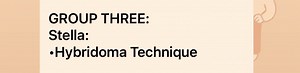 Explain the Hybridoma Technique.Describe the steps involved i... | Filo