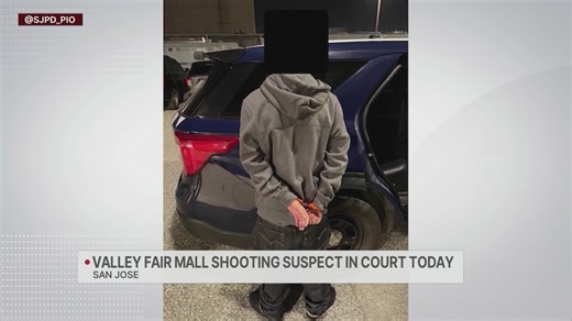 DA seeking adult court for 17-year-old Valley Fair mall shooting suspect