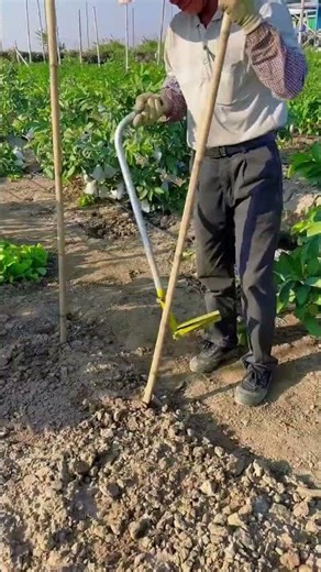 DIY Pipe Insertion Tool - Easy Soil Planting Device #farming #handmade #gardening