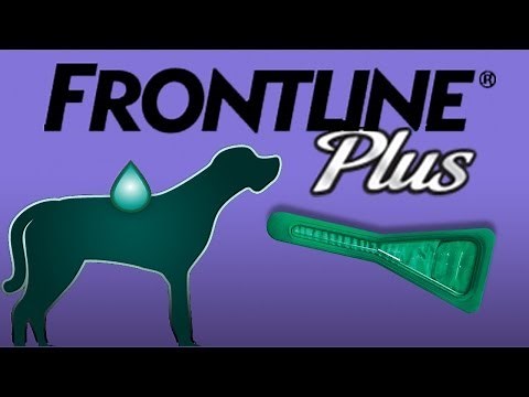 Frontline Plus for Dogs and Cats Kills Flea and Tick by Merial