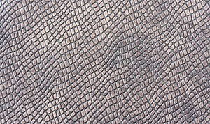 Prayers To Destroy Snakes In The Dream