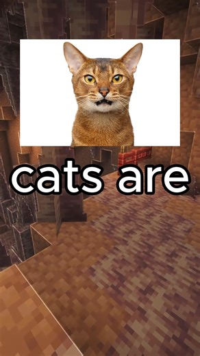 Cats VS Dogs | Alix