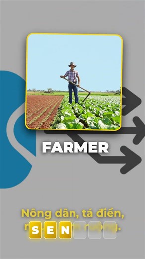 Bạn đủ tinh ý để giải từ này không?