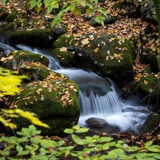 Peaceful Journey | Insight Timer